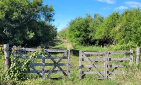 285 ha. en Herrera, ER